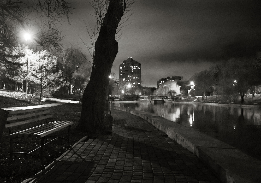 Фотографія вечер в парке / Синельников Александр / photographers.ua