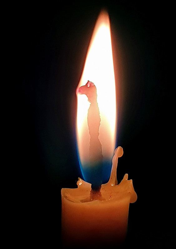 Фотографія Живущий в пламени свечи / Синельников Александр / photographers.ua