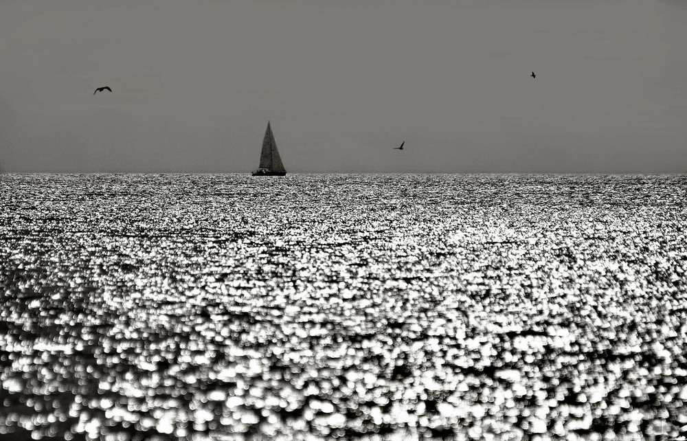 Фотографія яхта в серебре / Синельников Александр / photographers.ua
