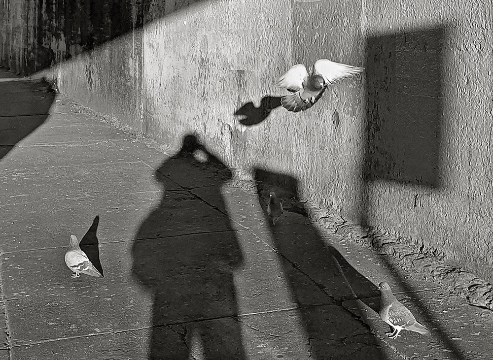 Фотографія Случайно влетевший / Синельников Александр / photographers.ua