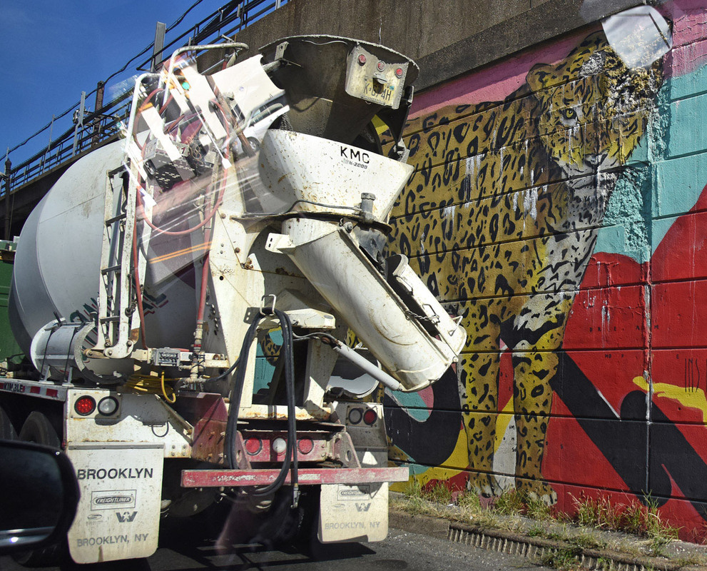 Фотографія Два зверя / Синельников Александр / photographers.ua