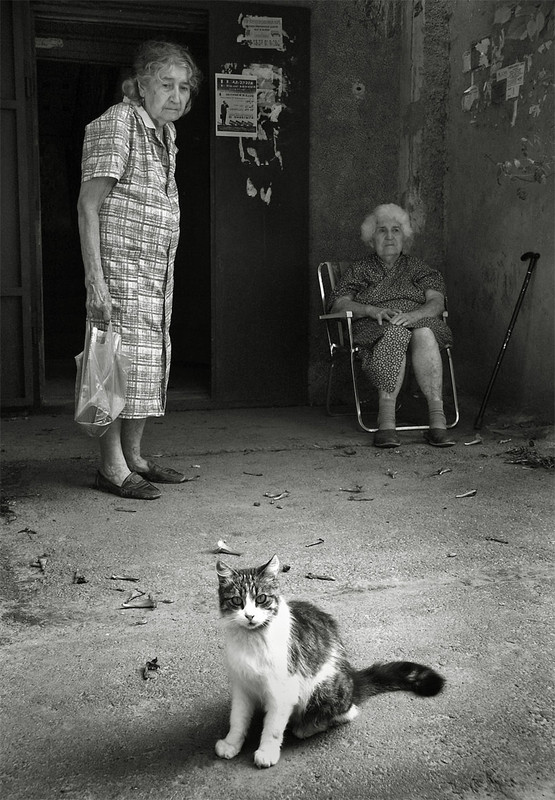 Фотографія бабушки и кот / Синельников Александр / photographers.ua