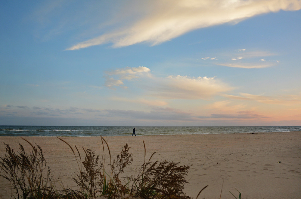 Фотографія Прогулка у моря / Синельников Александр / photographers.ua