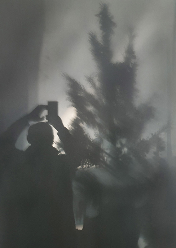 Фотографія Фотографируя тень ёлки / Синельников Александр / photographers.ua