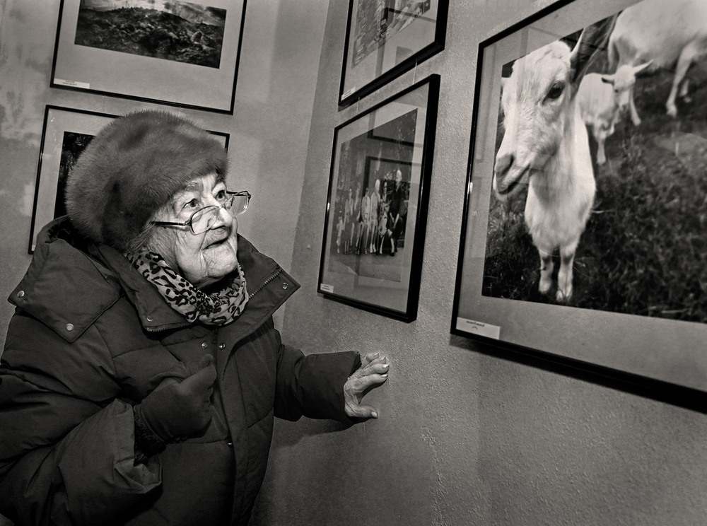 Фотографія Картинка с выставки / Синельников Александр / photographers.ua