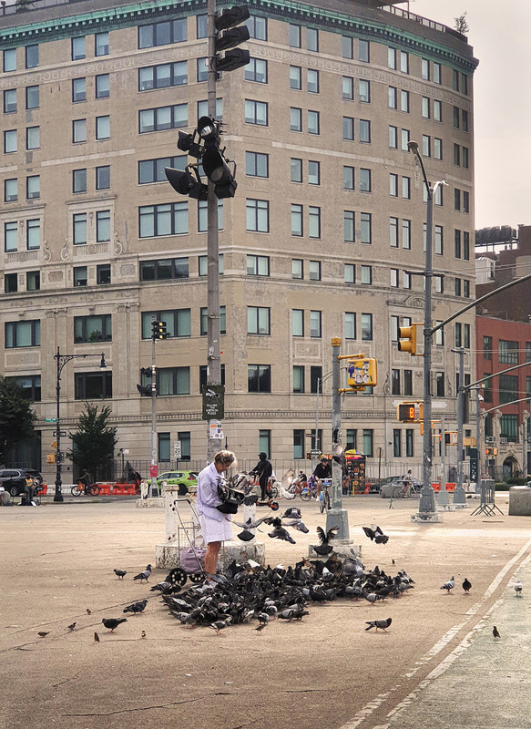 Фотографія Кормящая голубей / Синельников Александр / photographers.ua