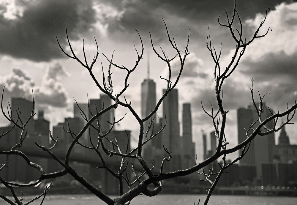 Фотографія Манхэттен / Синельников Александр / photographers.ua