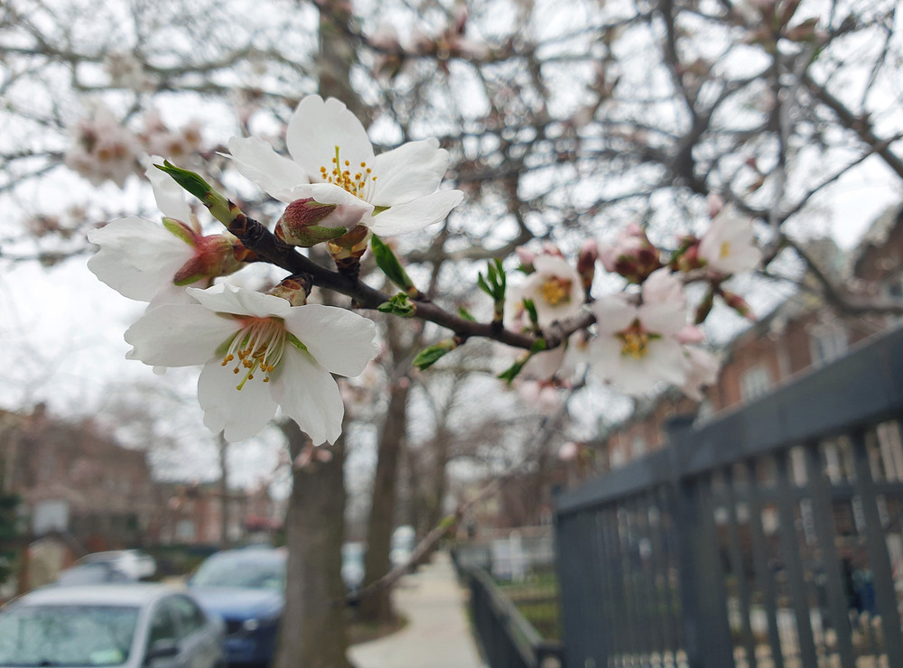 Фотографія Началось! / Синельников Александр / photographers.ua