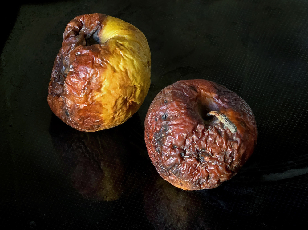 Фотографія Почти и всё / Синельников Александр / photographers.ua