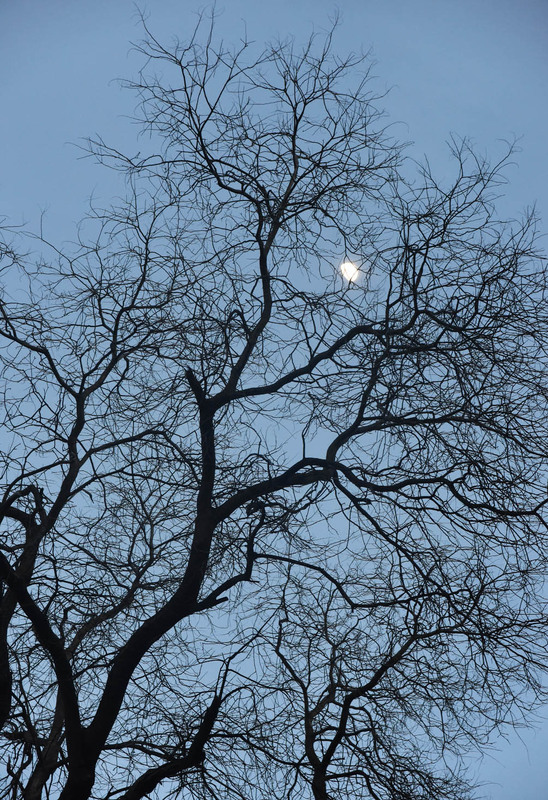 Фотографія В паутине / Синельников Александр / photographers.ua