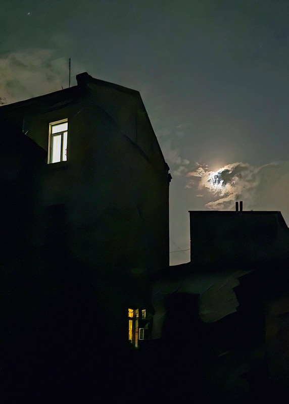 Фотографія Окна города / Синельников Александр / photographers.ua