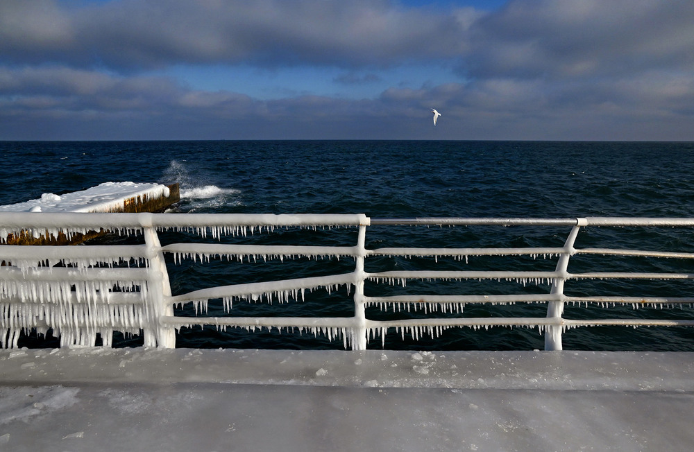 Фотографія Январь. Ланжерон / Синельников Александр / photographers.ua