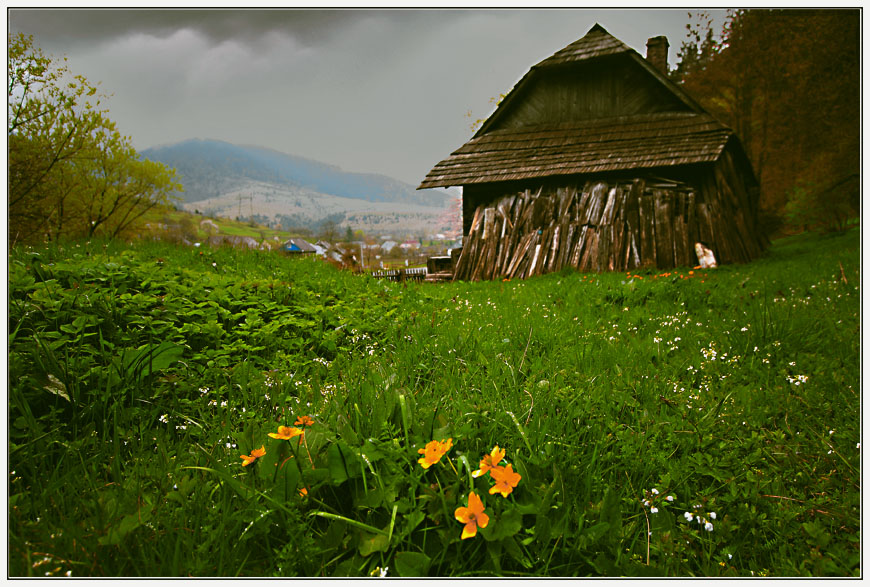Фотографія Весна в Карпатах / Andamata / photographers.ua