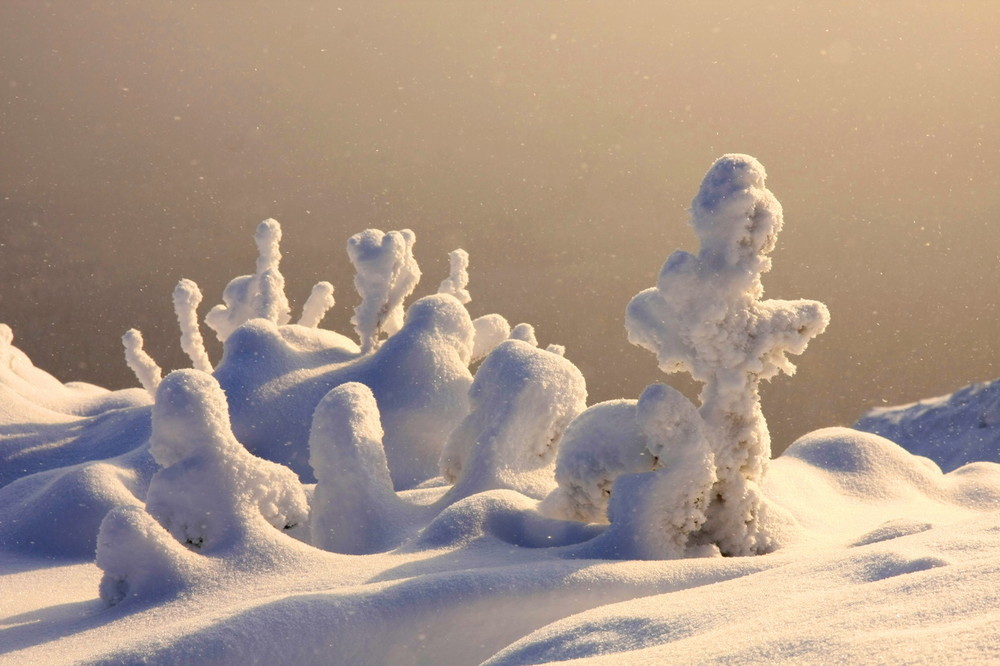 Со снежком. Чудо природы из снега. Снежные человечки. Снежные зимние человечки. Интересные снимки со снегом.
