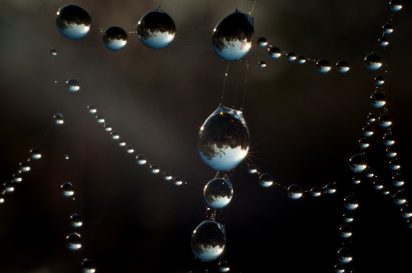 Фотографія Світ діамантів / Yura_burko / photographers.ua