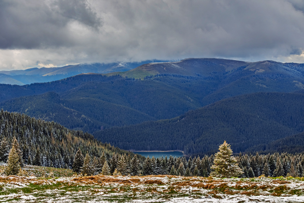 Фотографія The May Snow / Alex Ingerman / photographers.ua
