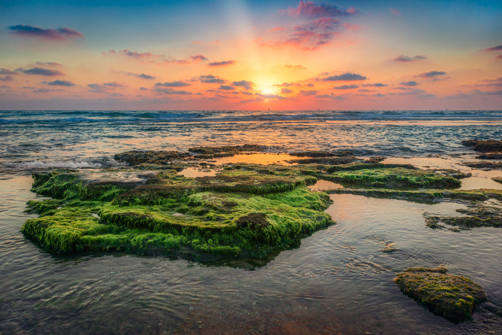 Фотографія Яркие краски заката. / Alex Ingerman / photographers.ua