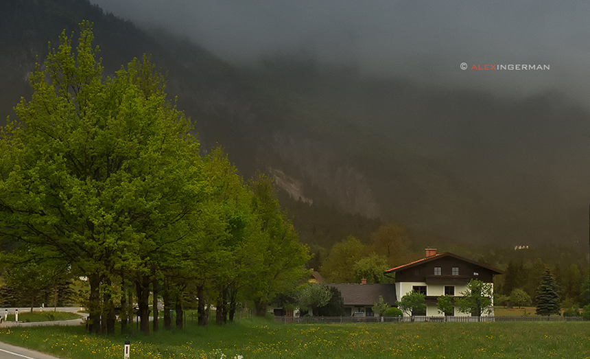 Фотографія Alpine fog. / Alex Ingerman / photographers.ua