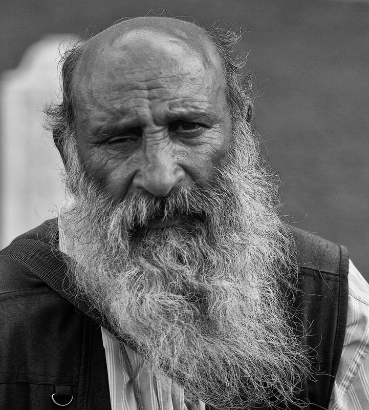 Фотографія "Пусть жизнь озарится постом и молитвой, Жизнь пожилых – это век золотой." / Iryna / photographers.ua