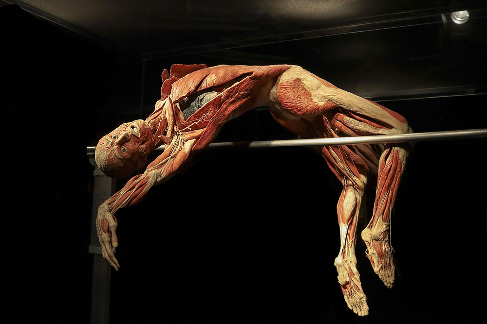 Фотографія Репортаж / Tatjana Yana T Petruk / photographers.ua