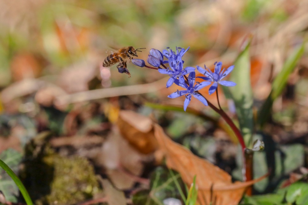 Фотографія Майже весна / Tatjana Yana T Petruk / photographers.ua