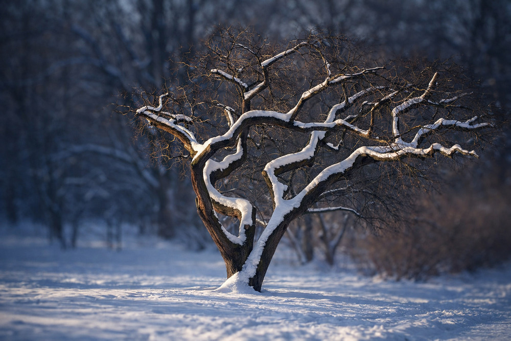 Фотографія Пейзаж / Tatjana Yana T Petruk / photographers.ua