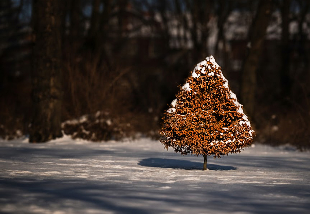 Фотографія Пейзаж / Tatjana Yana T Petruk / photographers.ua
