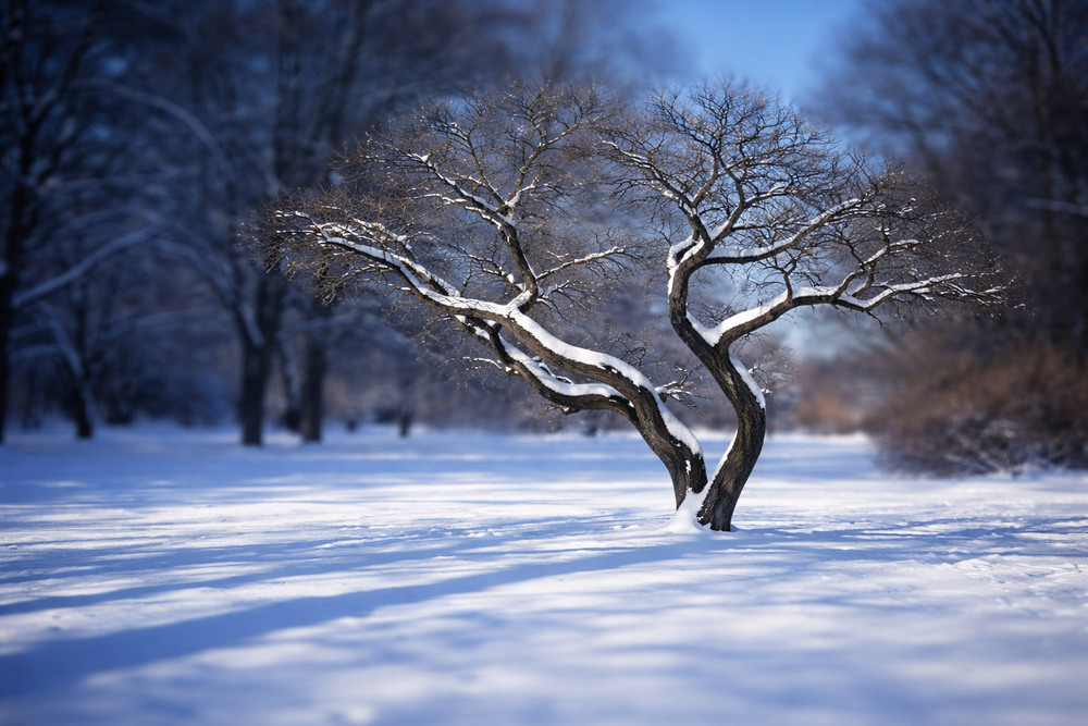 Фотографія Пейзаж / Tatjana Yana T Petruk / photographers.ua
