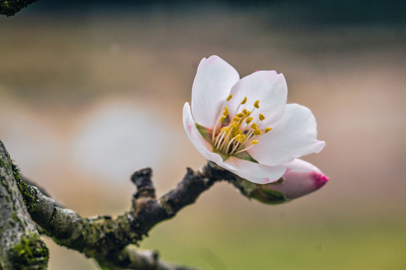 Фотографія Весна прийшла / Spring is here / Tatjana Yana T Petruk / photographers.ua