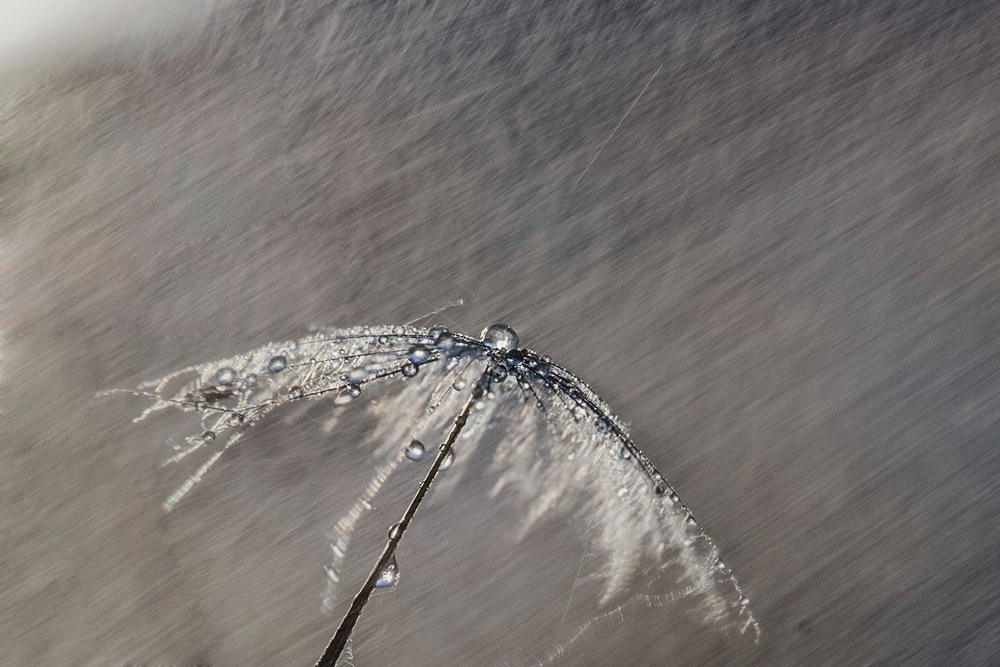 Фотографія To be strong! / Tatjana Yana T Petruk / photographers.ua
