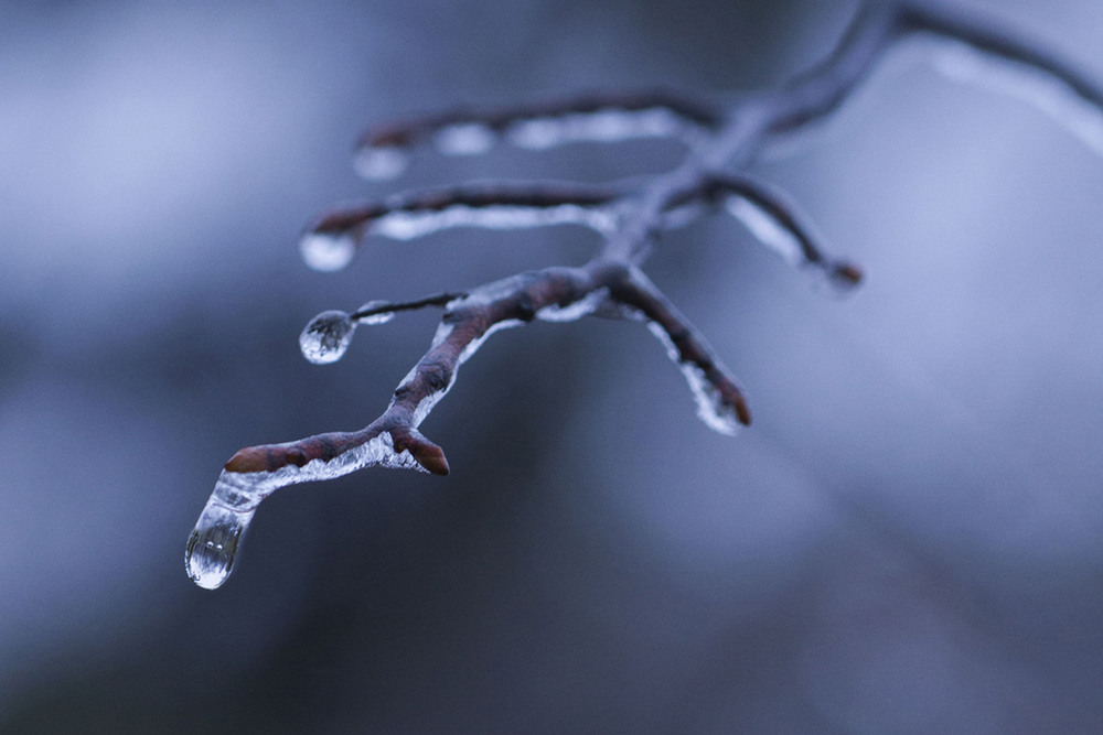 Фотографія Winter drop / Tatjana Yana T Petruk / photographers.ua