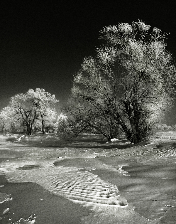 Фотографія Мелодия зимы / Валерий Шайгородский / photographers.ua