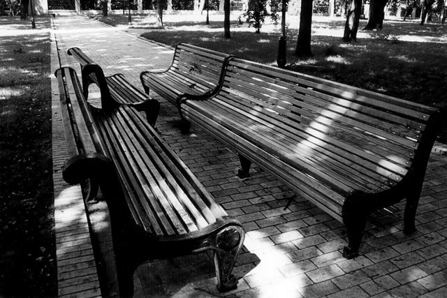 Фотографія Давай с тобой поговорим... / Mirddin Emrys / photographers.ua