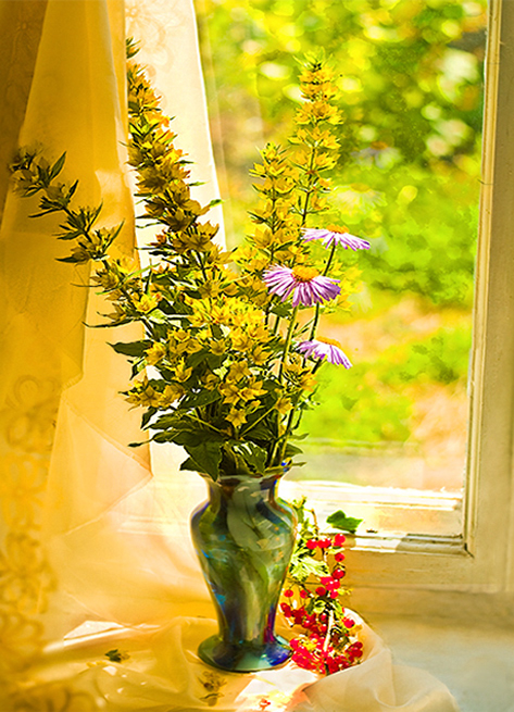 Фотографія Порічки або літо за вікном. / KVB / photographers.ua
