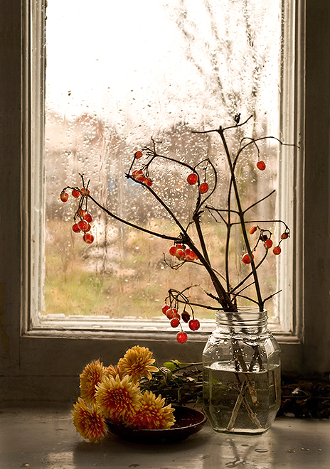 Фотографія Блюз мого вікна. / KVB / photographers.ua