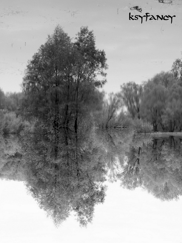 Фотографія зеркало природы / ksyfancy / photographers.ua