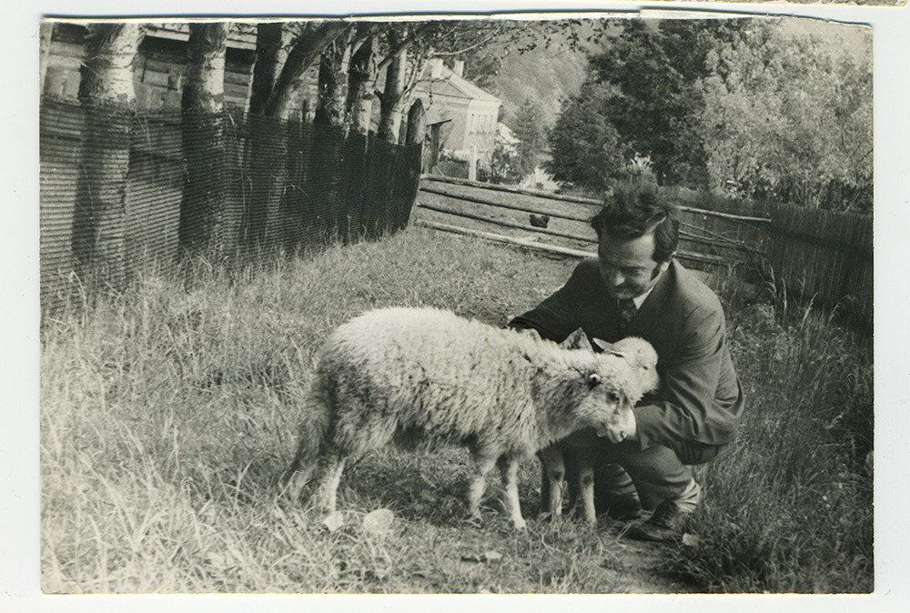 Фотографія Батько з овечками. / Роман Михайлюк / photographers.ua