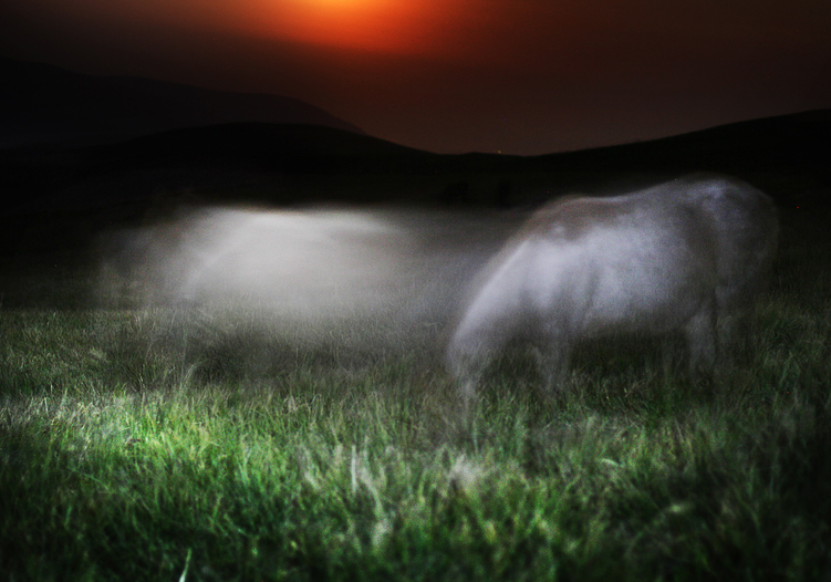 Фотографія Місяць сяє коні тануть / Роман Михайлюк / photographers.ua