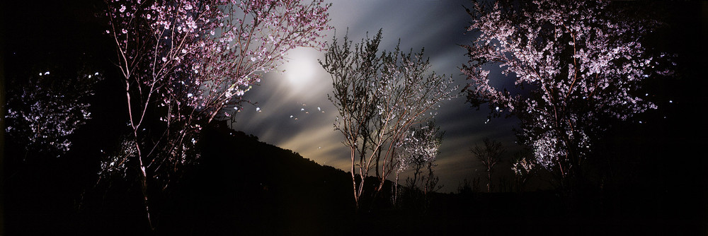 Фотографія Місяць і персик. / Роман Михайлюк / photographers.ua