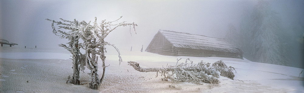 Фотографія Про коричневий сніг.... Ласковый май - 3 / Роман Михайлюк / photographers.ua