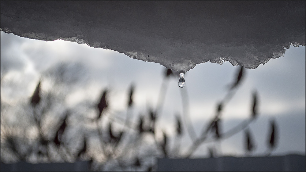 Фотографія Зима прослезилась / Кигим Николай / photographers.ua