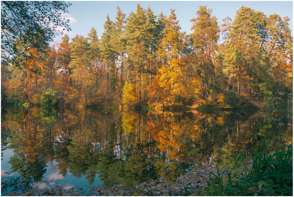 Фотографія Colors of Autumn / Андрей Клименко / photographers.ua