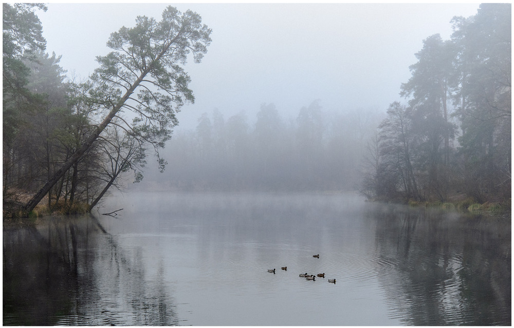 Фотографія туман над озером / Андрей Клименко / photographers.ua