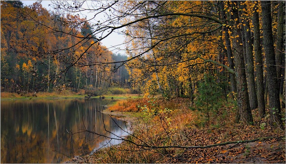 Фотографія Осень / Сергей Галиахметов / photographers.ua