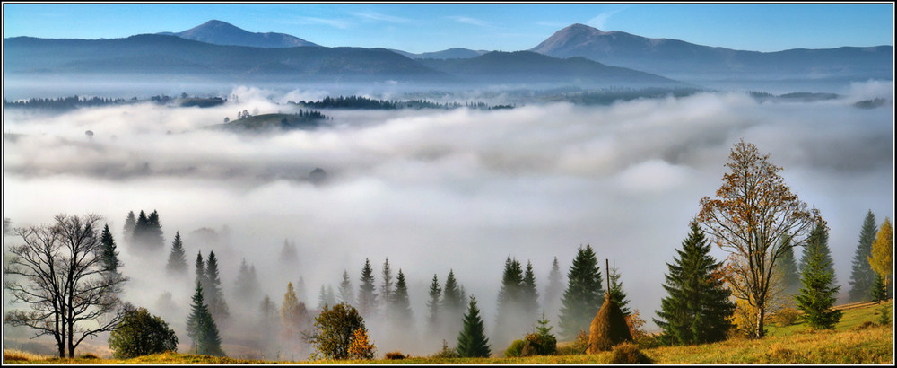 Фотографія На долинi туман... / Сергей Галиахметов / photographers.ua