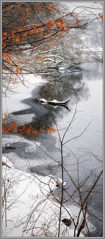 Фотографія Зимові визерунки / Сергей Галиахметов / photographers.ua