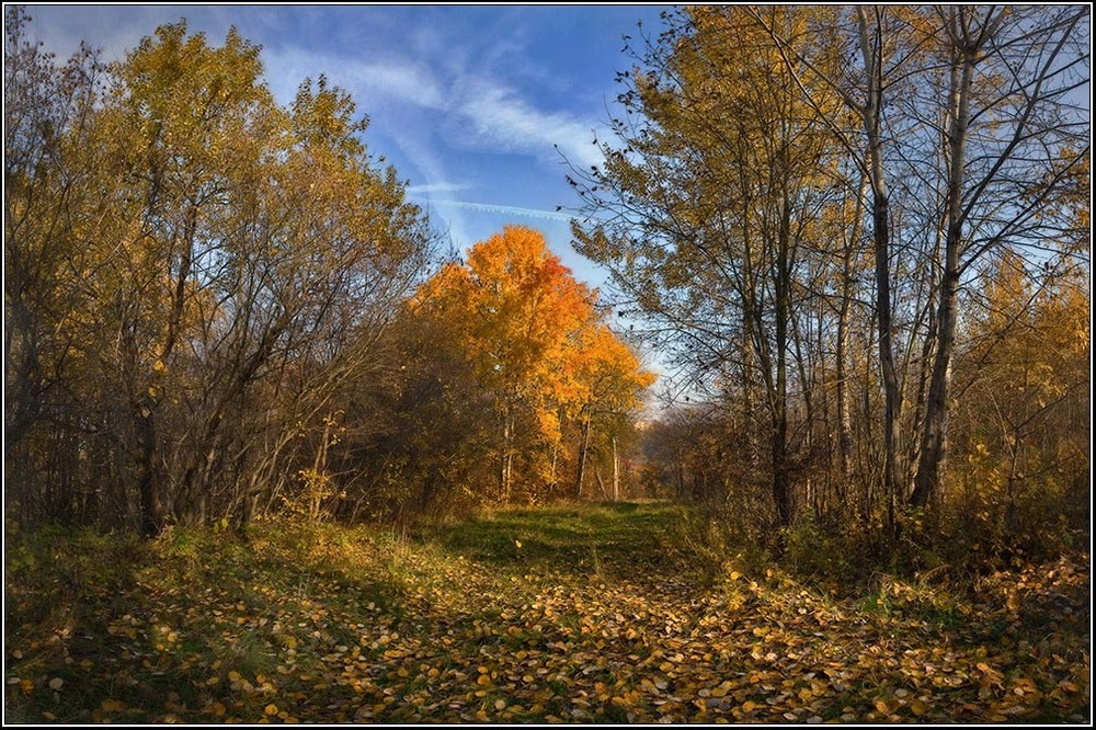 Фотографія Поліська осінь... / Сергей Галиахметов / photographers.ua