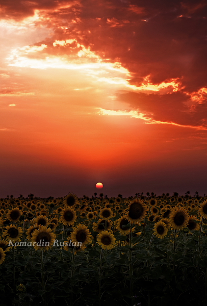 Фотографія Закат / Руслан Комардин / photographers.ua