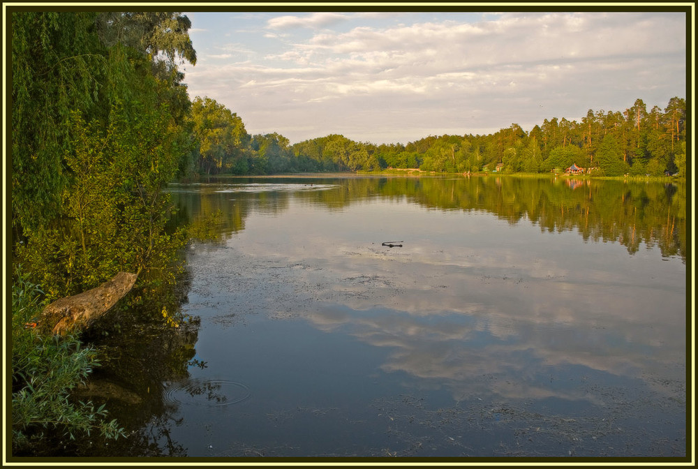 Фотографія Летний вечер на озере / VitalZhur / photographers.ua