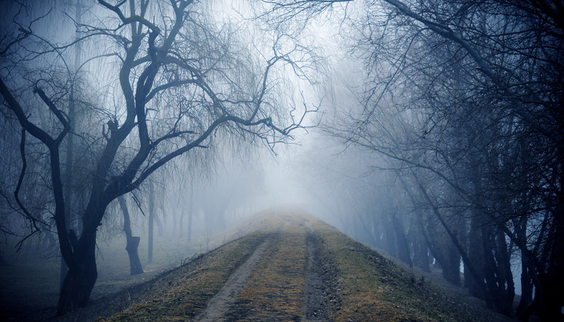 Фотографія Синий туман / comba / photographers.ua